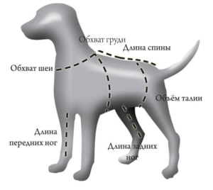 Padrão de cachorro para costurar um manequim