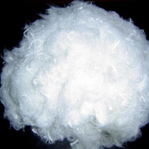 Polyester fiber