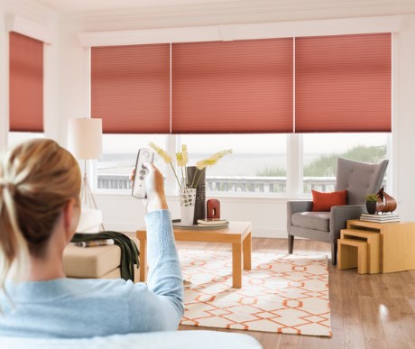 Automatic blinds control