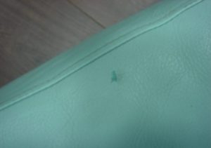 Green stain sa leatherette