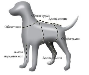 вземане на измервания