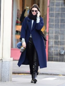 Accessories for a blue coat