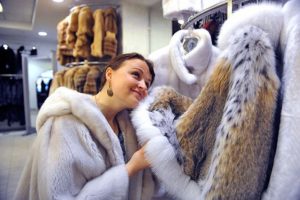 shorthair fur coats