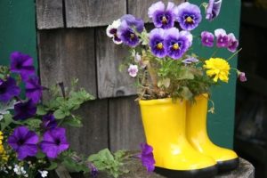 flowerbed made from old holey boots