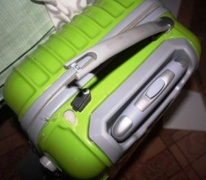 Valise verte