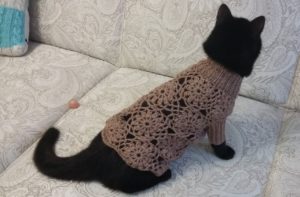 Sweater til katten_2