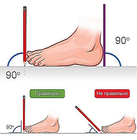 قياسات الساق