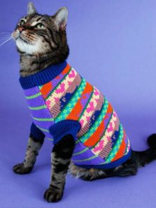 Suéter multicolorido para gato