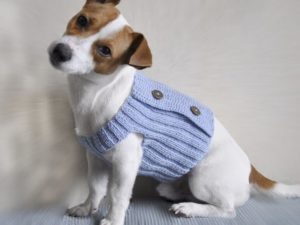 crochet dog sweater