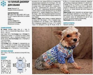 Πουλόβερ για το Yorkie