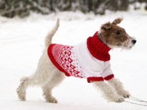 Maglione rosso e bianco