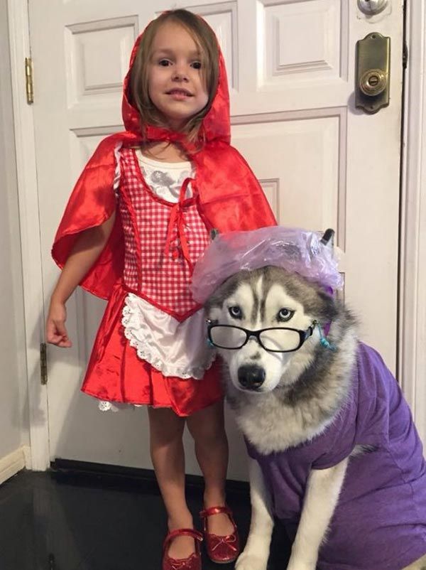 Déguisement de chien d'Halloween