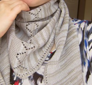 Scarf-kerchief - bactus sa kotse