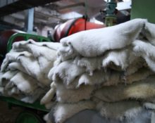 making fur coats