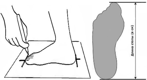 قياسات الساق 1