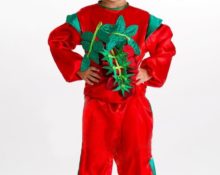 DIY tomato costume for a boy