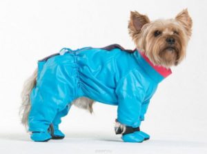 Blauwe overall voor honden