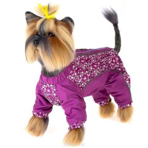 Frambozenoverall voor honden