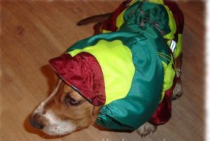 Groene overall voor honden