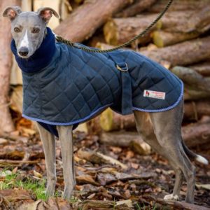 Coperta scura per un cane