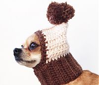 Cappello per cani