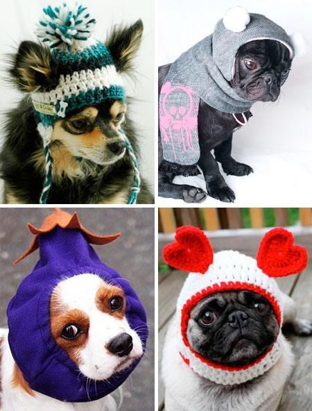 Hats for dogs