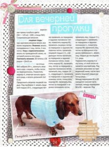 Dachshund için mavi kazak