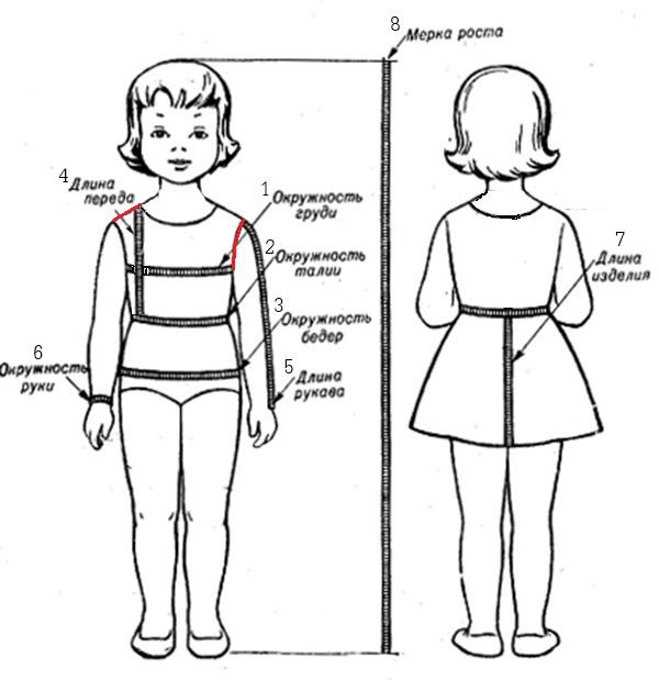 taking children's measurements