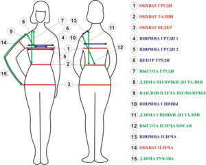 taking measurements from pregnant women