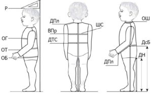 Lấy số đo của bé