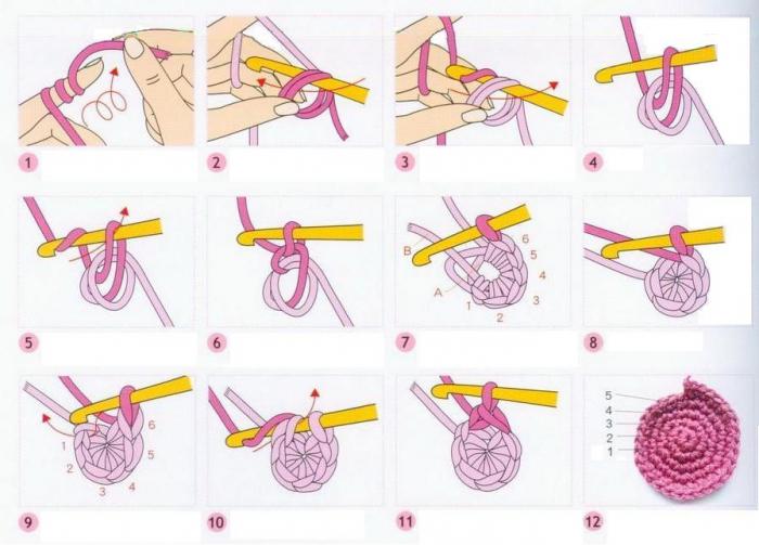 diagramma rotondo