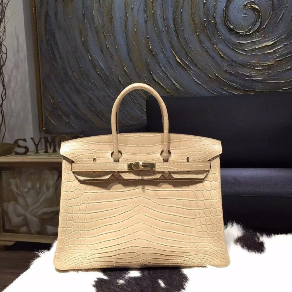 Hermes Matte Crocodile Birkin