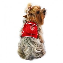 Mochila para cães 