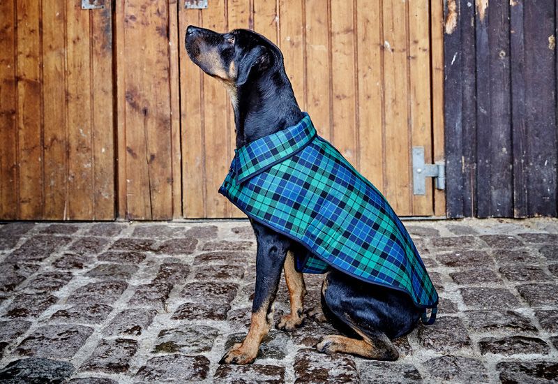 hundekappe fra en gammel frakk