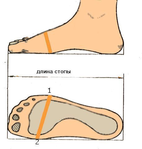 Rozmery chodidla (šírka, dĺžka)