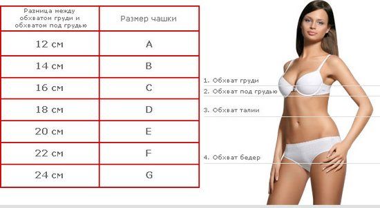 cup size chart