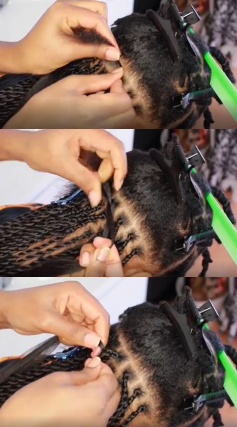 Afro braids Senegalese 1