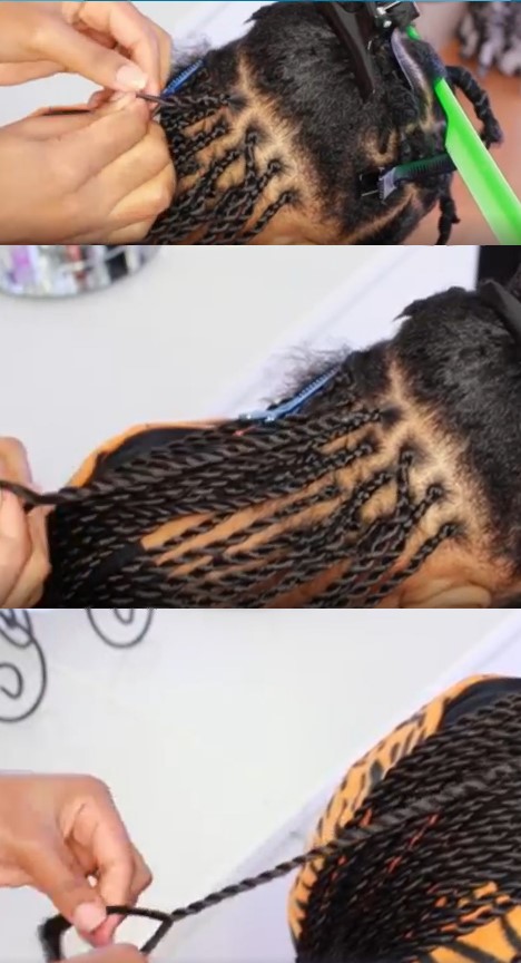 Afro braids Senegalese 2