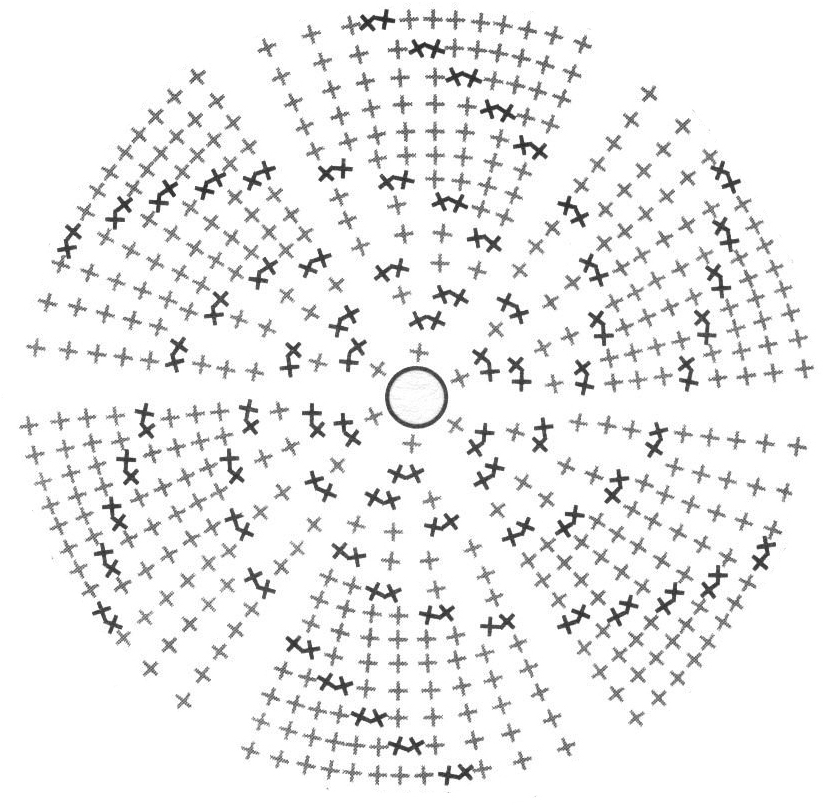 Diagrama del fondo de la canasta