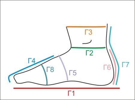 Medidas de calcetines