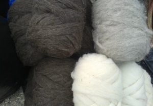 Sheep wool