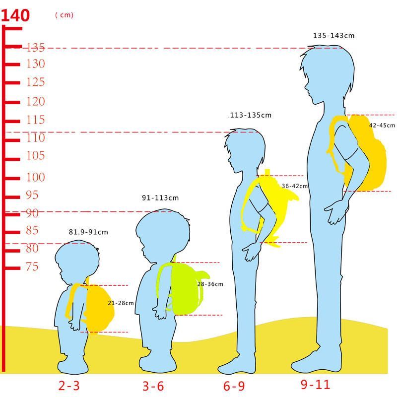 La hauteur du dos du sac à dos en fonction de l'âge de l'enfant