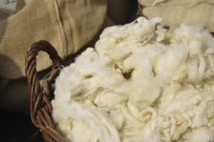 sheep wool in a basket