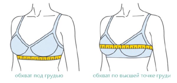 Измервания на сутиен