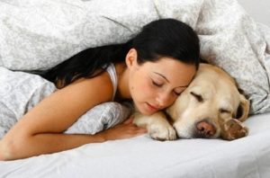 Os benefícios de dormir com seus animais de estimação