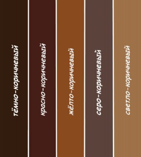 warna coklat