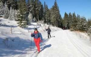 pergi bermain ski