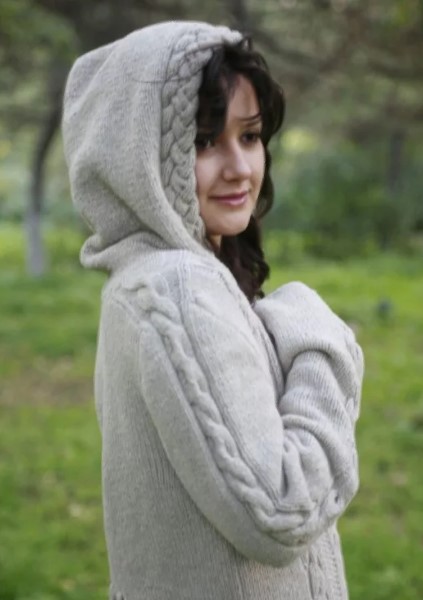 Hoodie gray