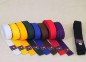 sambo belts