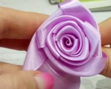 Lilac rose